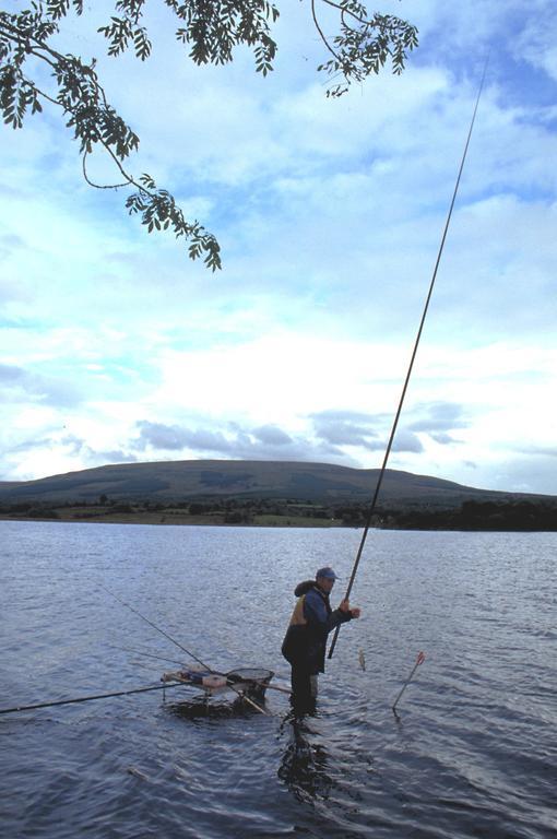 Lough Allen Hotel & Spa Drumshanbo Eksteriør billede